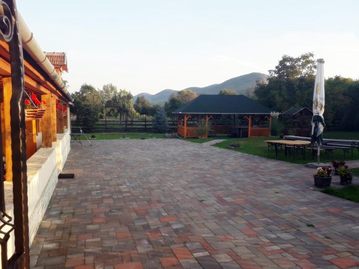 Hegyalja Vendeghaz Apartment Tolcsva Exterior photo